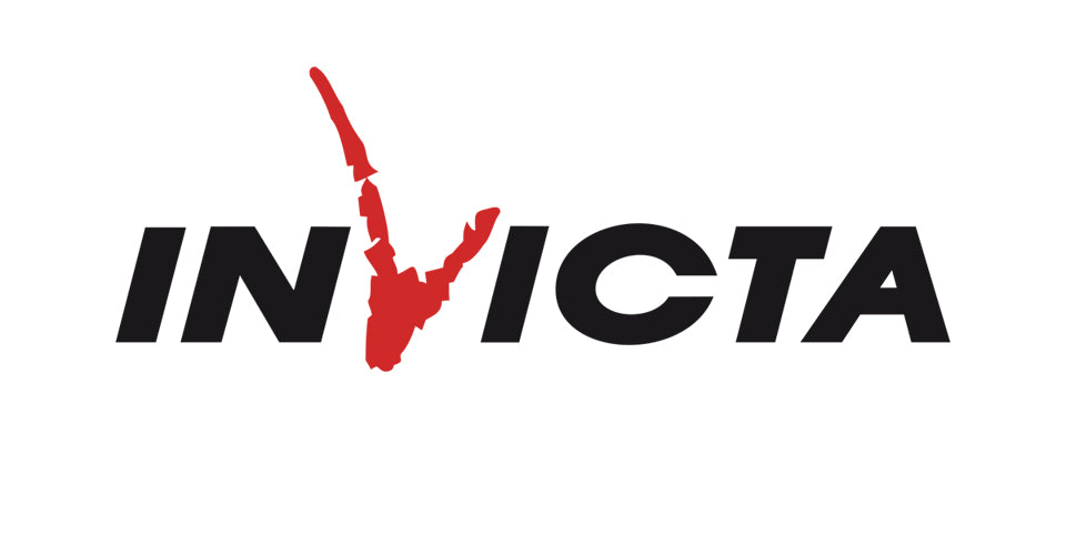 Vetro CERAMICO x stufa a legna(INVICTA ASTEMIS) 39,7cm x 20,8 cm spessore 4mm